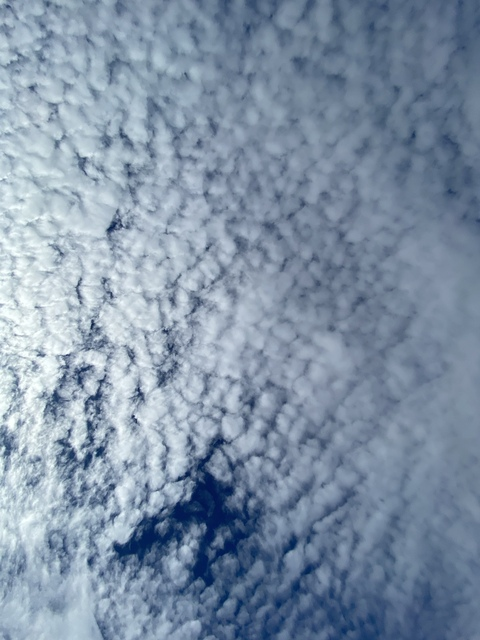 jordox onlyfans leaked picture 2