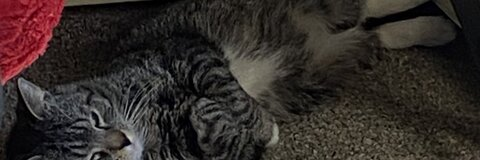 jos41yn onlyfans leaked picture 2