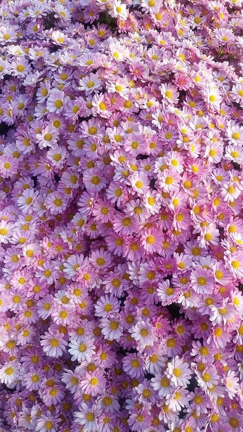 juanabananag onlyfans leaked picture 2