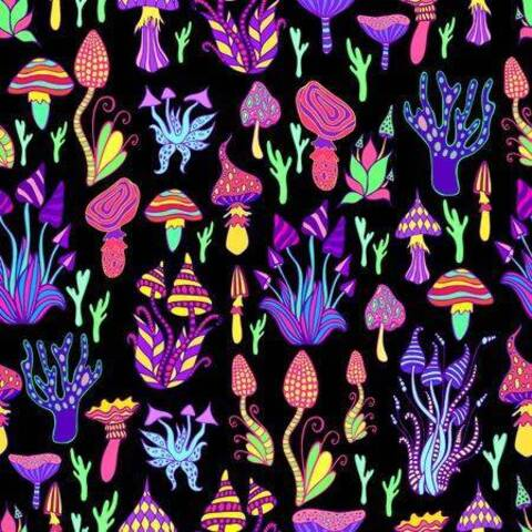 kayfae42 onlyfans leaked picture 2