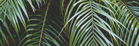 kelsienicole onlyfans leaked picture 2