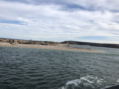 kenalialuv onlyfans leaked picture 2