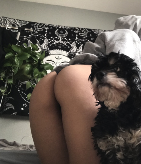 kushmoosh onlyfans leaked picture 2