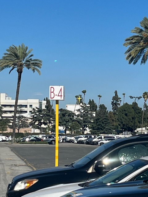 lalalusciousxxx onlyfans leaked picture 2