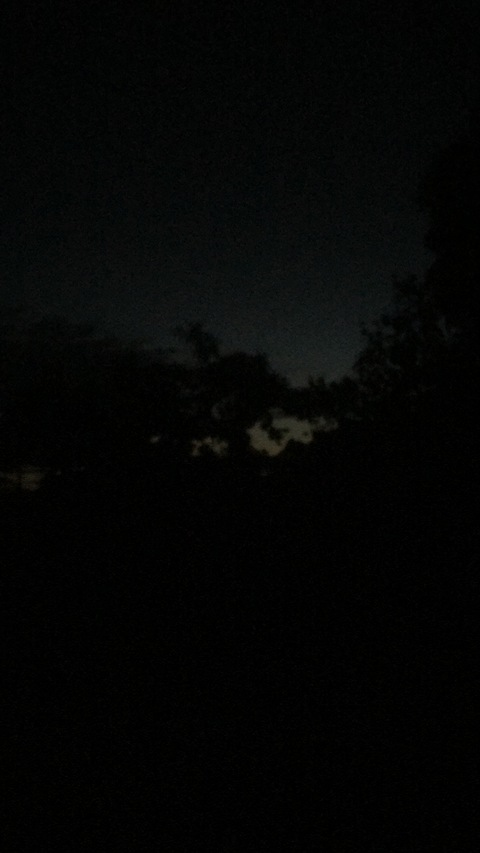 lavishcocky onlyfans leaked picture 2