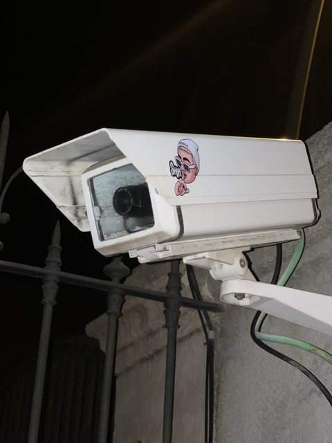 leopicona onlyfans leaked picture 2