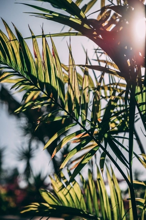 lillievixen onlyfans leaked picture 2