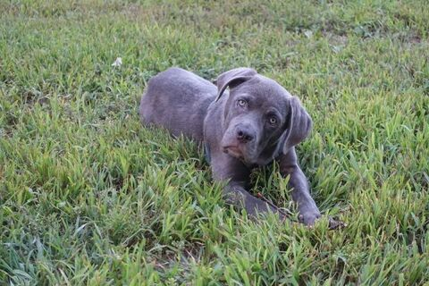 lipper onlyfans leaked picture 2