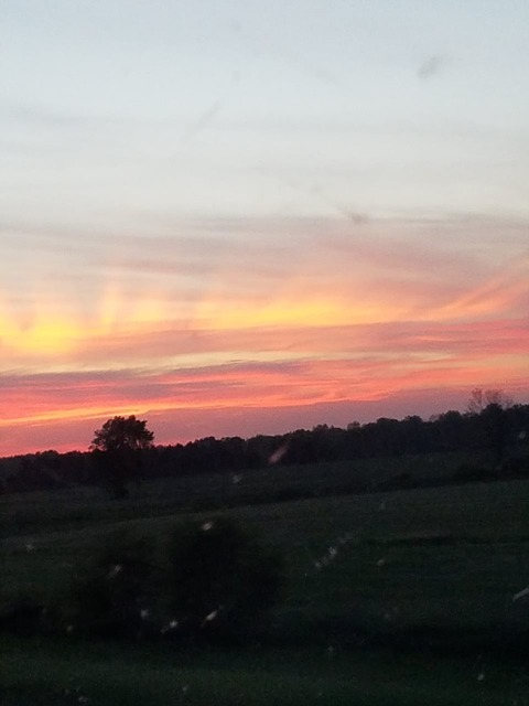 lish_xoxo21 onlyfans leaked picture 2