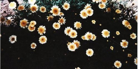 lkrizzm onlyfans leaked picture 2