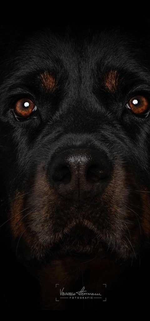 longstroke14 onlyfans leaked picture 2