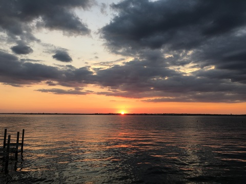 lozriis onlyfans leaked picture 2