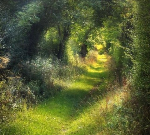 lustforlani onlyfans leaked picture 2