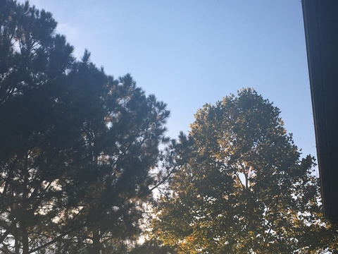 lyftmom onlyfans leaked picture 2