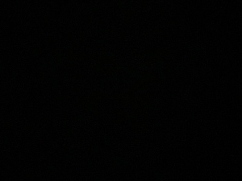 m.1.l.f onlyfans leaked picture 2