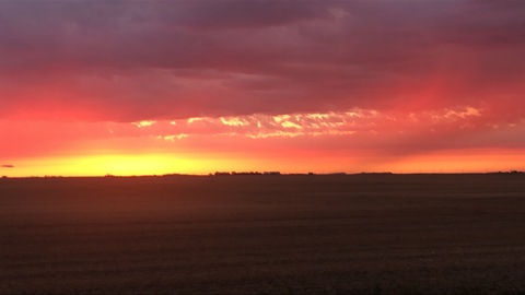 m.xo1989 onlyfans leaked picture 2