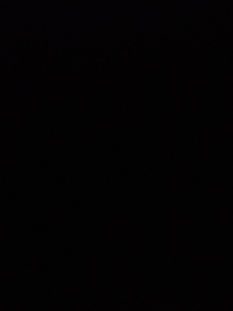 melkoneko onlyfans leaked picture 2