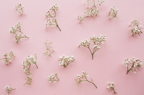 miaxcosta onlyfans leaked picture 2