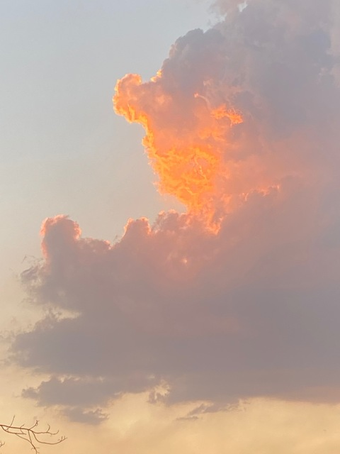 migueelmahm onlyfans leaked picture 2