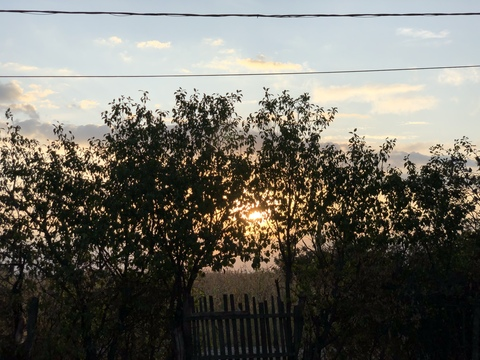 missav onlyfans leaked picture 2