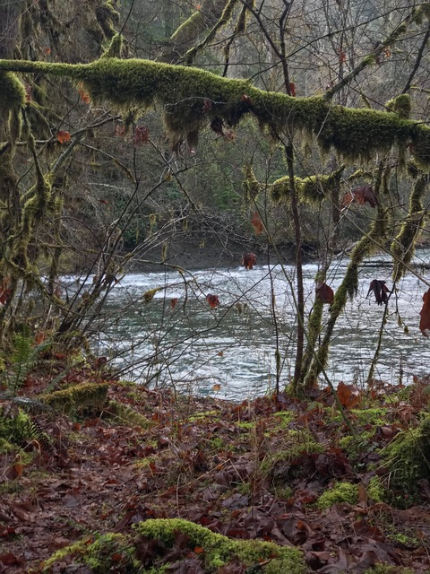 missdianehaney1 onlyfans leaked picture 2