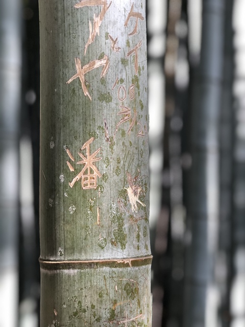 mlxxxvi onlyfans leaked picture 2