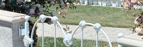 morguepie onlyfans leaked picture 2