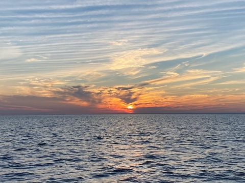 msdpt onlyfans leaked picture 2