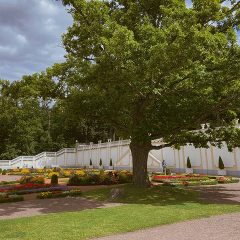 myrmyrdi onlyfans leaked picture 2