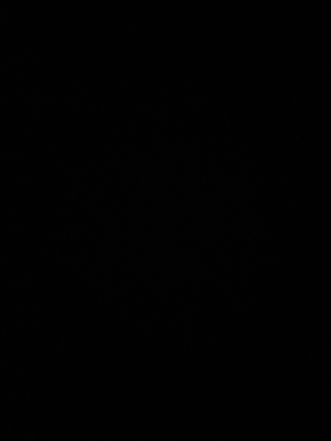 nastydutch070 onlyfans leaked picture 2