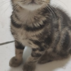 notat onlyfans leaked picture 1