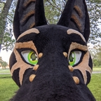 nsfwjackal avatar