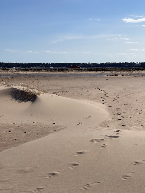 ojuicyjayy_free onlyfans leaked picture 2