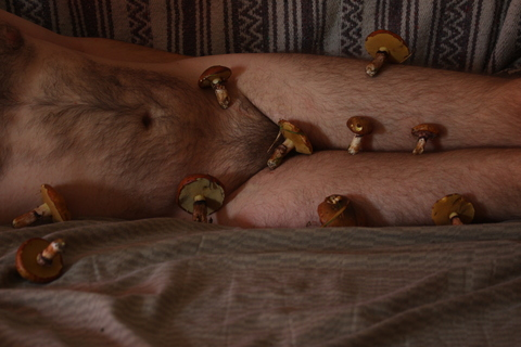 onlymushrooms onlyfans leaked picture 2