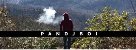 pandjboi onlyfans leaked picture 2