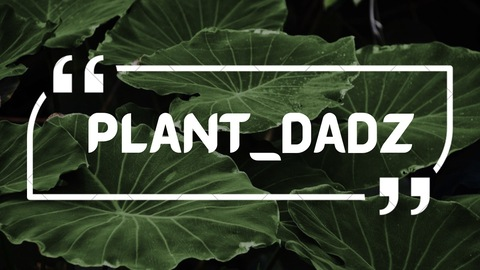 plant_dadz onlyfans leaked picture 2