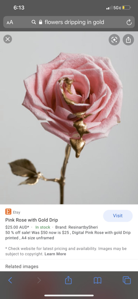 pnwangel onlyfans leaked picture 2