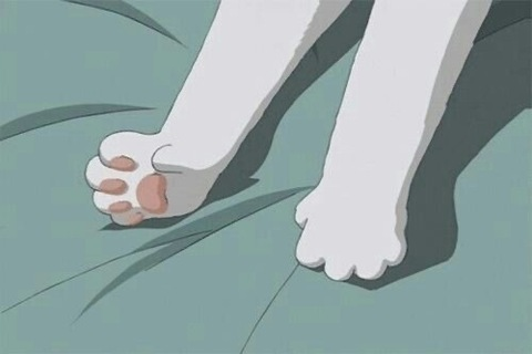 powerpawsfree onlyfans leaked picture 2