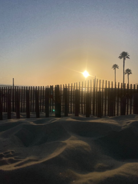 pprincesspeachezz onlyfans leaked picture 2