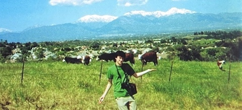 queenbiitch onlyfans leaked picture 2