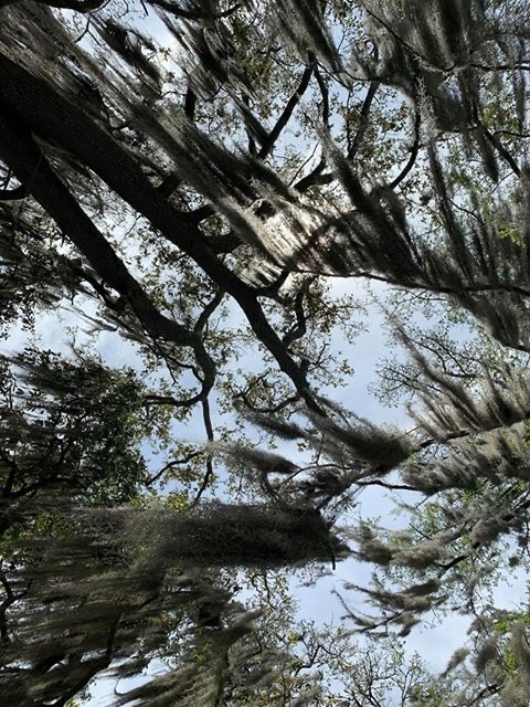 rainah_morningstar onlyfans leaked picture 2