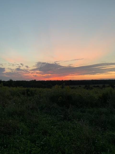 ripjohnson onlyfans leaked picture 2