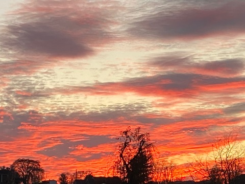 robinwitt416 onlyfans leaked picture 2