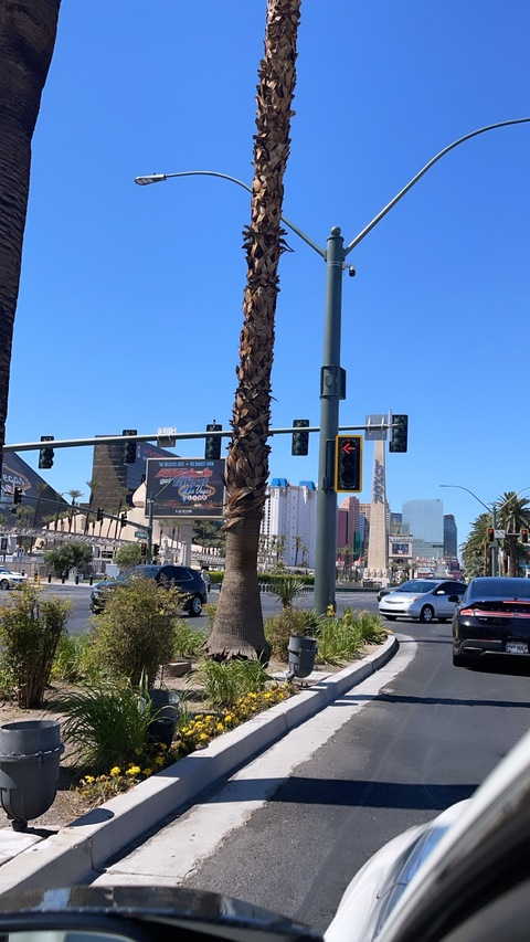 savagejayjay onlyfans leaked picture 2