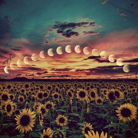 secretlyss66 onlyfans leaked picture 2