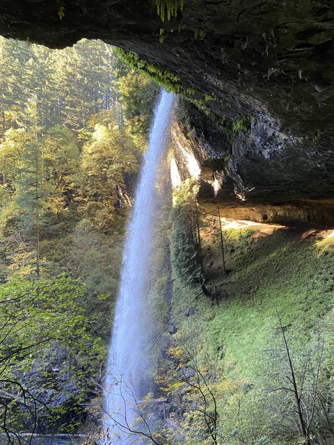 shaunofthedead240 onlyfans leaked picture 2