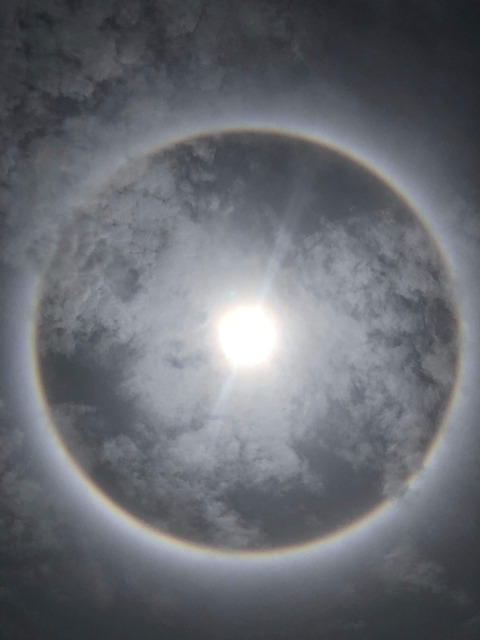 shawnac9 onlyfans leaked picture 2