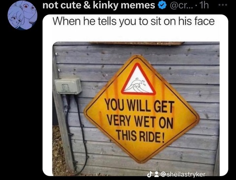 sheilastryker onlyfans leaked picture 2