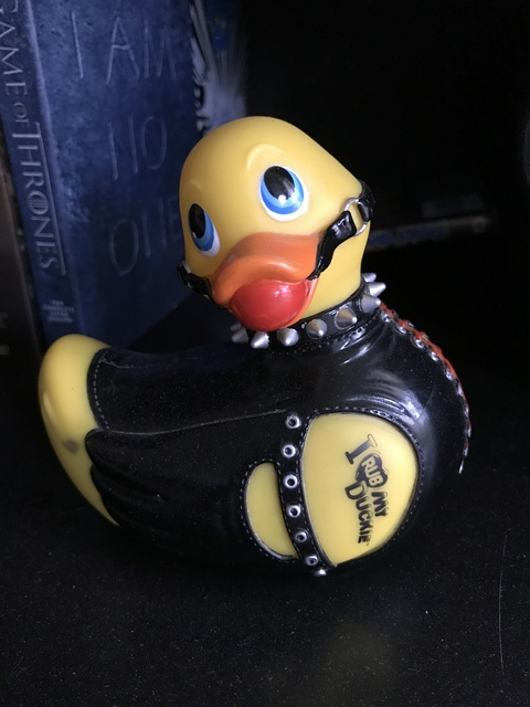 shelby32 onlyfans leaked picture 2