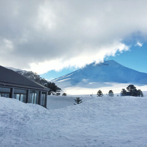 smallady onlyfans leaked picture 2